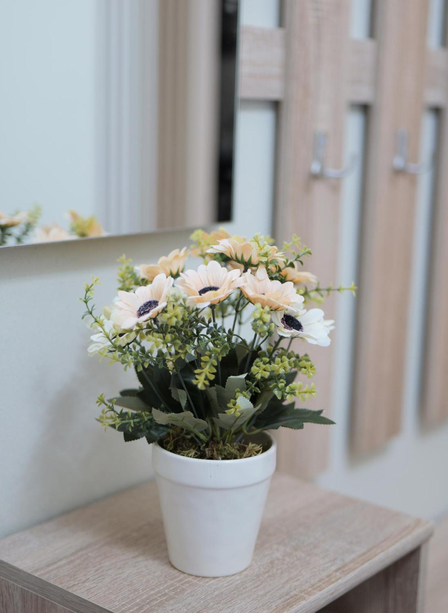 City Center Rooms And Apartments Durres Ngoại thất bức ảnh